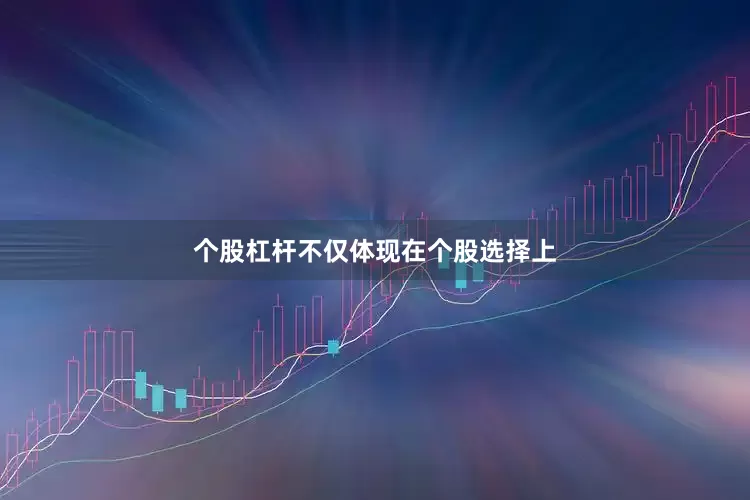 个股杠杆不仅体现在个股选择上
