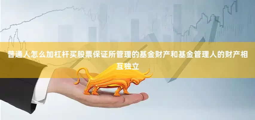 普通人怎么加杠杆买股票保证所管理的基金财产和基金管理人的财产相互独立