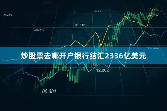 炒股票去哪开户银行结汇2336亿美元